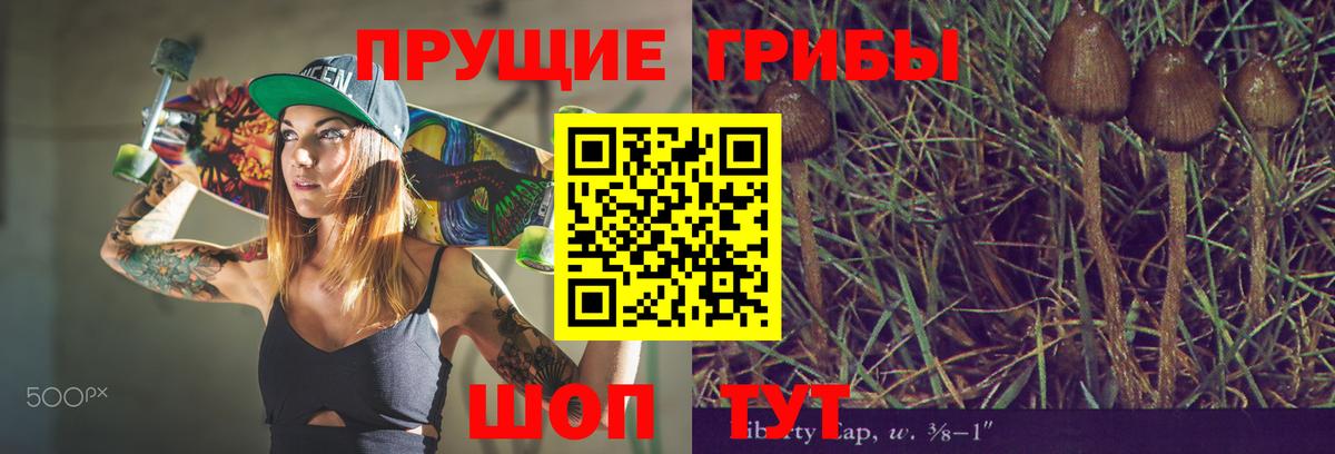 Псилоцибиновые грибы мухоморы  Вход с VPN  Гуково 